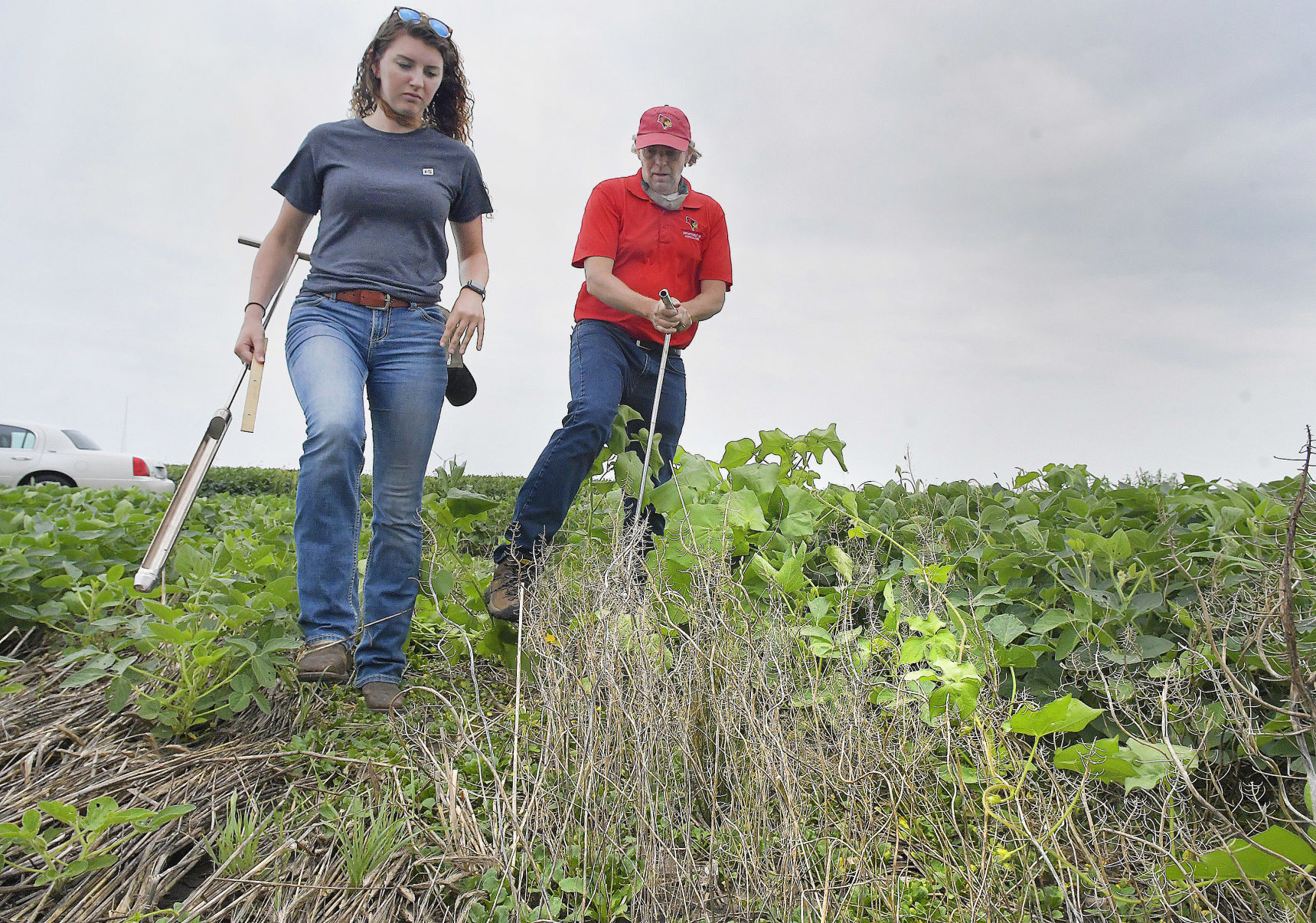 082821-illinois-farmfocus-1pennycress